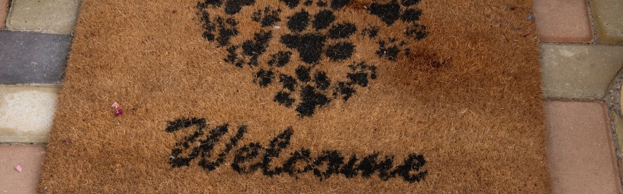 Creative Ways To Invite Customers Into Your Business