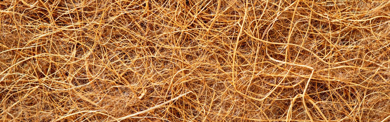 What Are Coir Fibers: A Brief Explanation