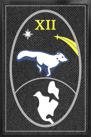 12SWS Patch