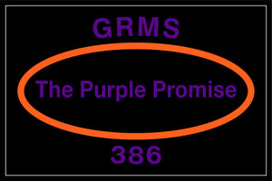 FedEx GRMS 387
