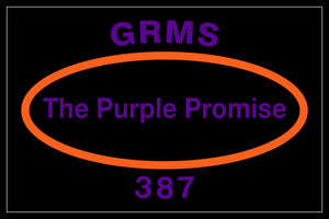 FedEx GRMS 387
