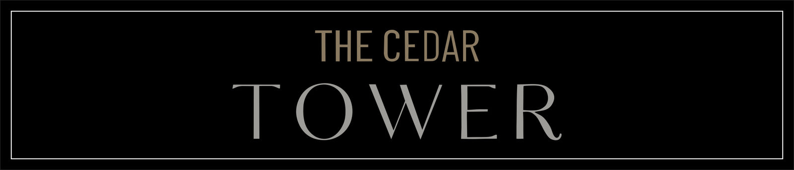 60 Cedar - front of elevator