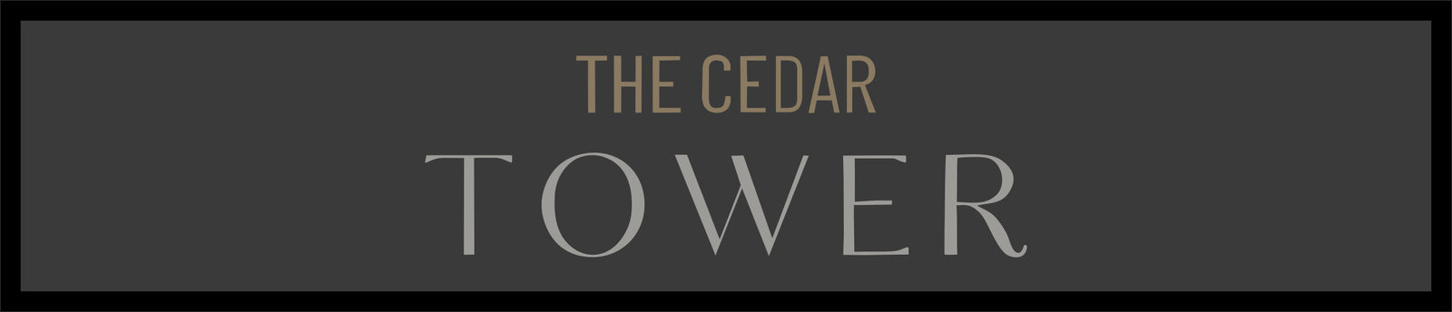 60 Cedar - front of elevator