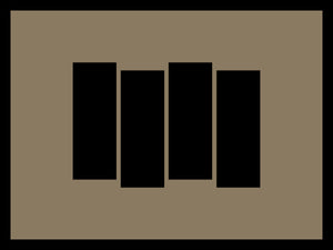 Snap shot of a black flag