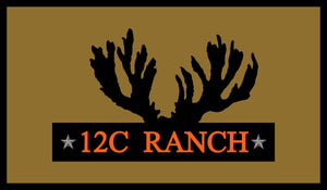 12C