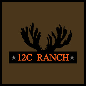 12C