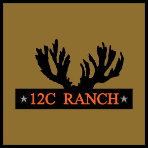 12C