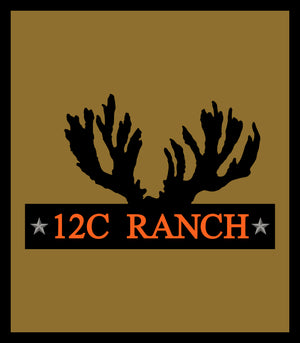 12C