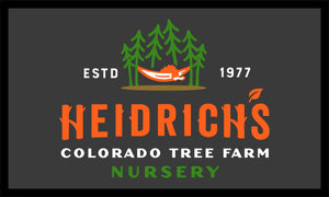 Heidrich's