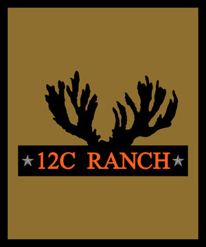 12C