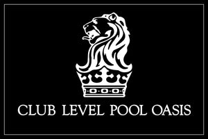 Ritz-Carlton Club Pool Oasis