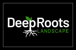 Deeproots exterior