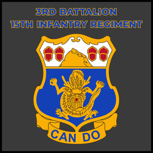 3RD BATTALION 15th INFANTRY REGIMENT