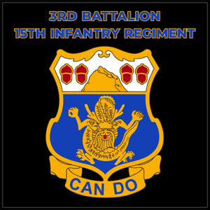 3RD BATTALION 15th INFANTRY REGIMENT