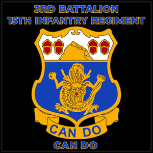 3RD BATTALION 15th INFANTRY REGIMENT