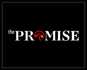 The Promise