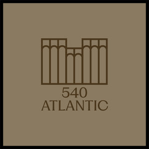 540 Atlantic Vestibule