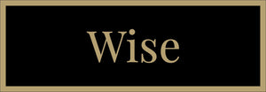 WISE GAME ROOM