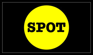 Spot Powered by Big