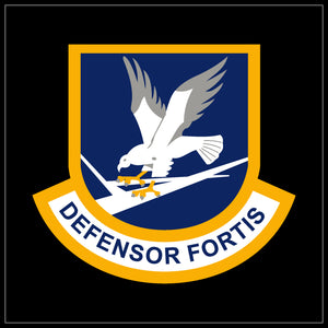 Defensor Fortis