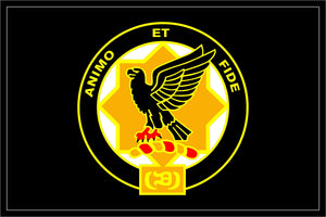 5-1 CAV