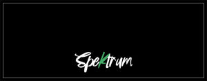 Spektrum Investments