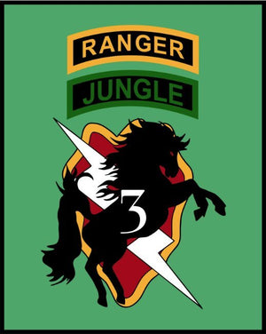 Bronco