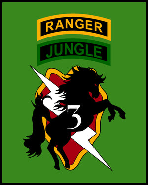 Bronco