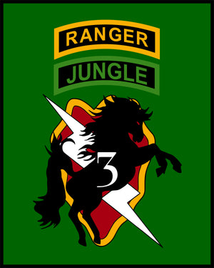 Bronco