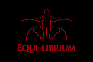 Equi-Librium
