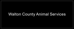 WALTON COUNTY ANIMAL SERVICES
