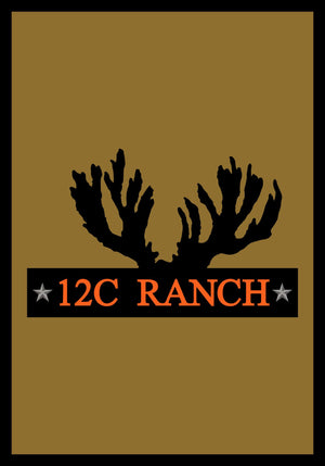 12C