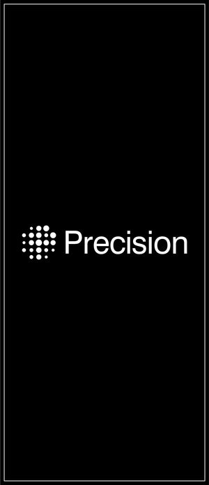 Precision Neuroscience