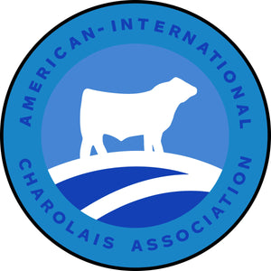 AICA circle