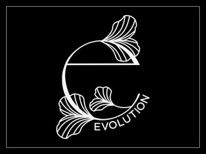 Evolution Salon Studios
