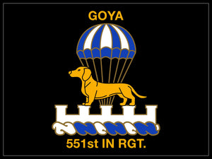551st Coat Of Arms