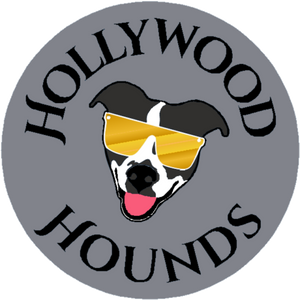 Hollywood Hounds