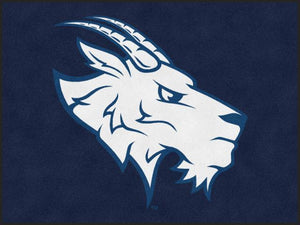St Edwards Athletics Logo
