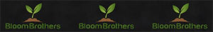 Bloom brothers x 2