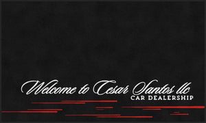 Cesar Santos LLC