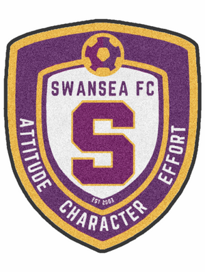 Swansea Men's Soccer