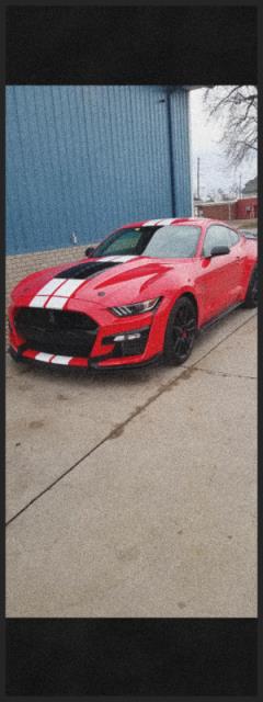 Shelby