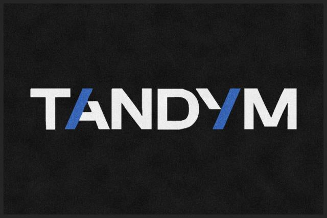Tandym Group - New Logo