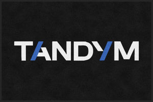 Tandym Group - New Logo