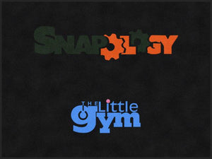 The Little Gym and Snapology