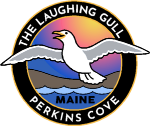 The Laughing Gull