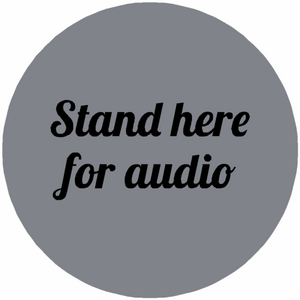 AUDIO GUIDE