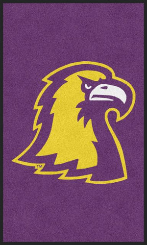 TTU Soccer LR