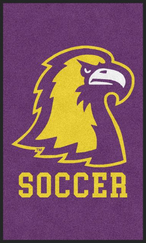 TTU Soccer LR