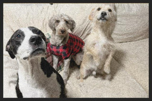 DOGGOS